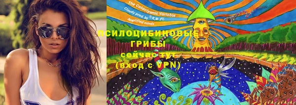 гидра Покров