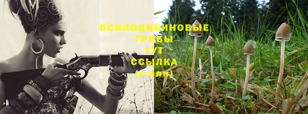 гашик Покачи