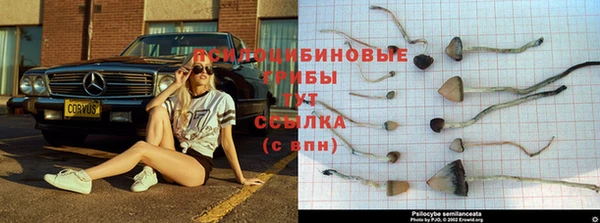 кокс Богородск
