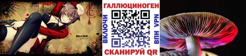 Псилоцибиновые грибы GOLDEN TEACHER  Клин 